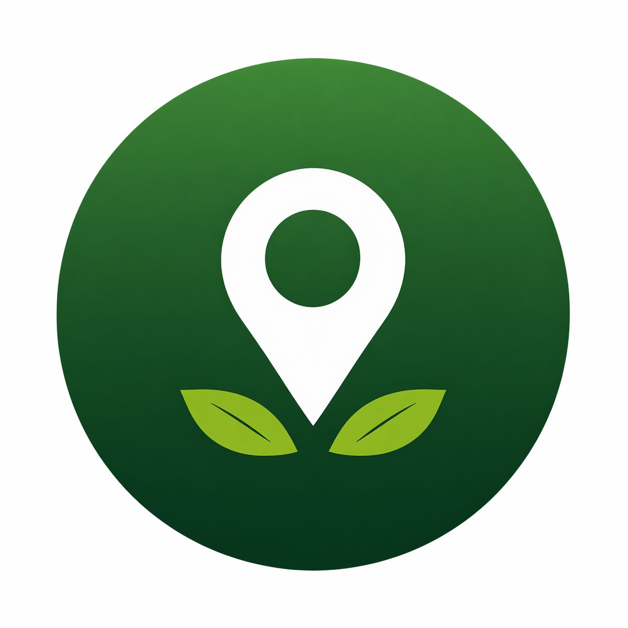 Garage-friendly waterless detailing — no water or drainage required